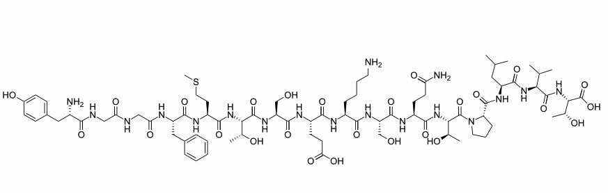 α-Endorphin Molecular Structure