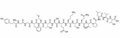 α-Endorphin Molecular Structure